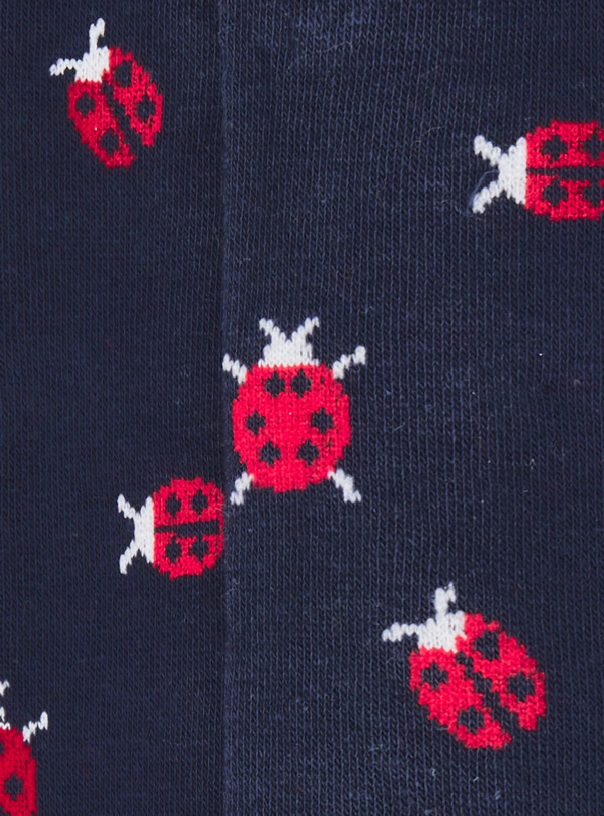 Calza fantasia coccinella-1