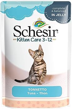 SCHESIR BUSTA KITTEN TONNETTO 85 GR.