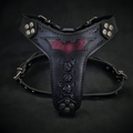 BATDOG harness Medium Size-0