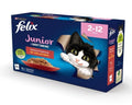 FELIX LE GHIOTTONERIE JUNIOR MULTIPACK (12 x 85 GR.)