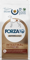 FORZA 10 DIET ACTIVE LINE INTESTINAL COLON FASE 2 10 KG.