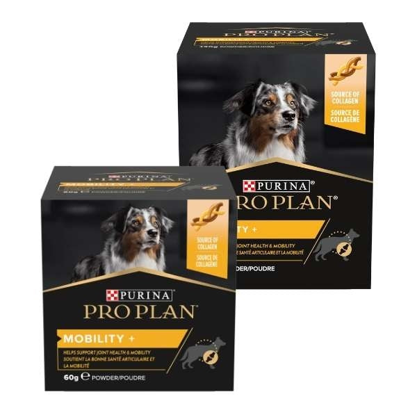 PURINA PRO PLAN SUPPLEMENT DOG MOBILITY+ 60 GR.
