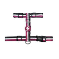 DASHI PETTORINA STRIPES3 PURPLE & BLACK BACK HARNESS TG. LARGE