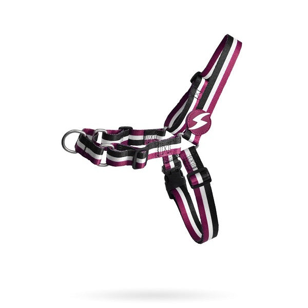DASHI PETTORINA STRIPES3 PURPLE & BLACK FRONT HARNESS TG. LARGE