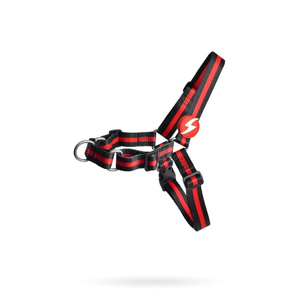 DASHI PETTORINA STRIPES3 RED & BLACK FRONT HARNESS TG. MEDIUM
