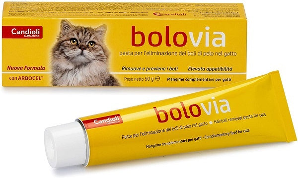 CANDIOLI BOLO VIA PASTA 100 GR.