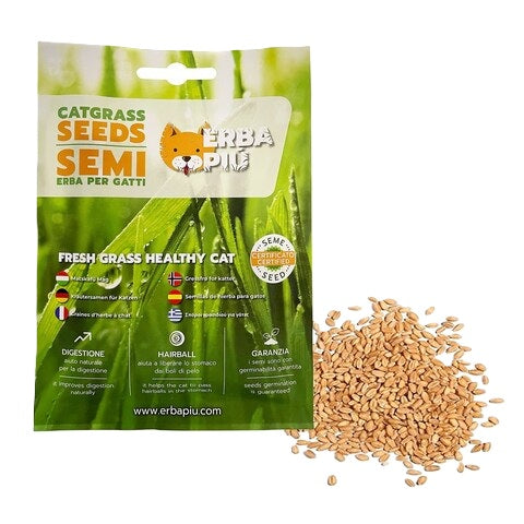 ERBA PIU' CATGRASS SEEDS SEMI ERBA GATTA