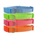COLLARE IN NYLON TINTA UNITA (1,5 x 25-40 CM.)