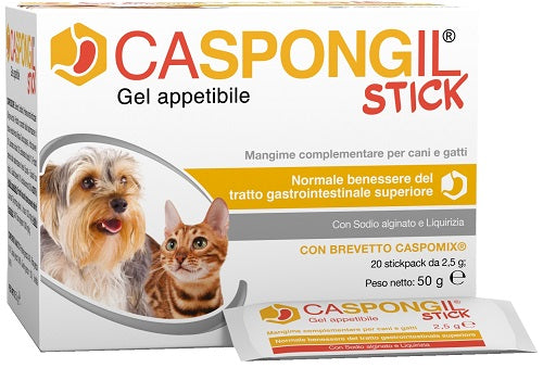 SHEDIR PHARMA CASPONGIL STICK GEL 20 PZ.