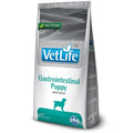 FARMINA VET LIFE DOG GASTROINTESTINAL PUPPY 2 KG.