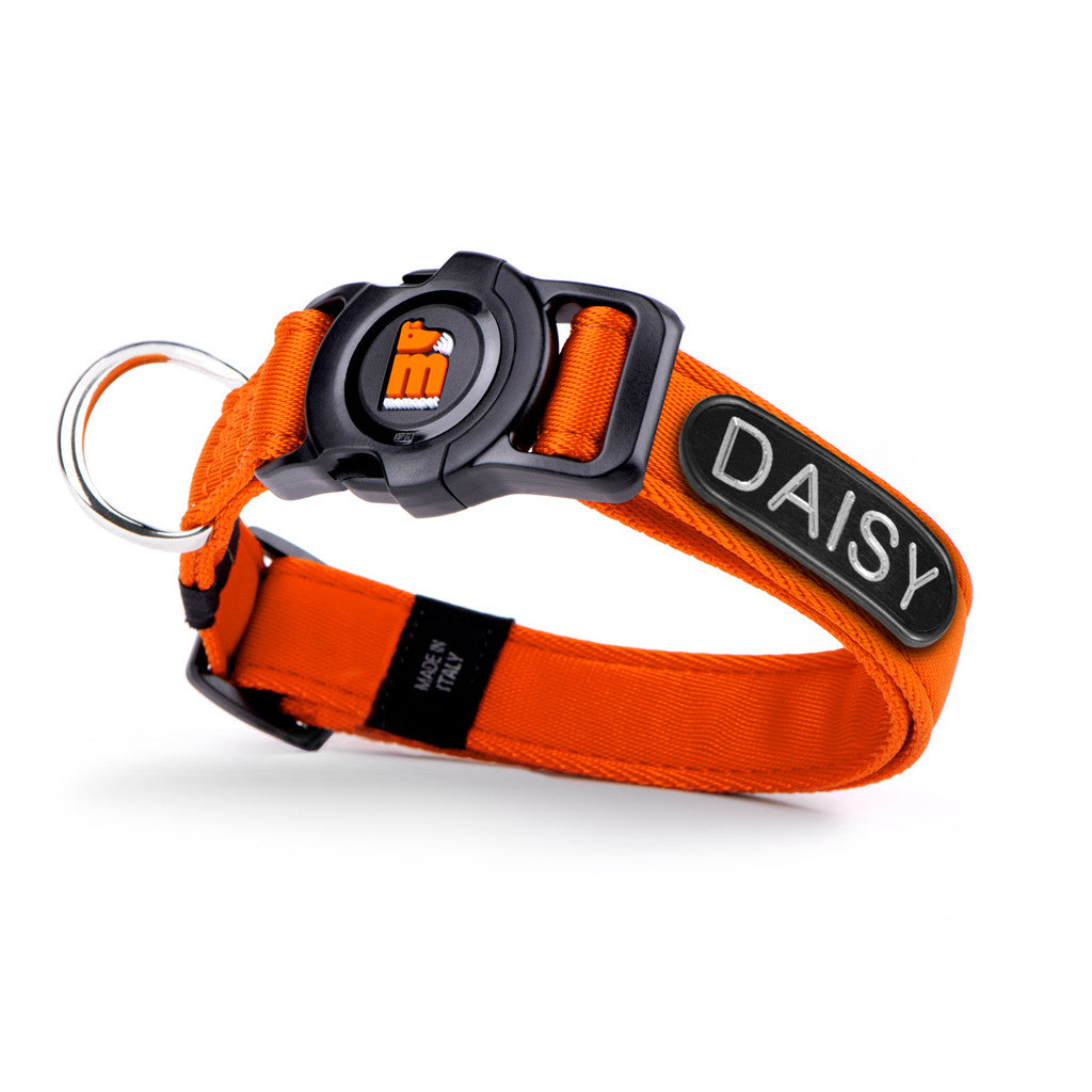 Collare memopet® ID Arancio Personalizzabile misura xs (20-27 cm)