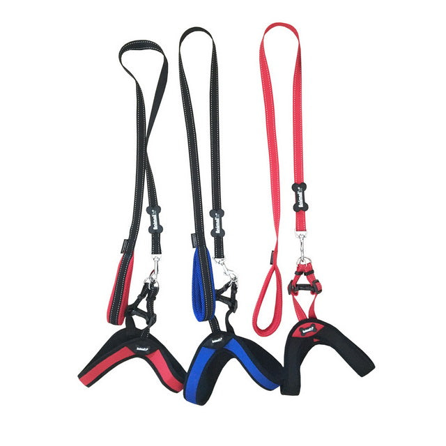 ALSO PARURE SPORTY CON PETTORINA TG. M/L 2,40-50 x 120 CM. BLU