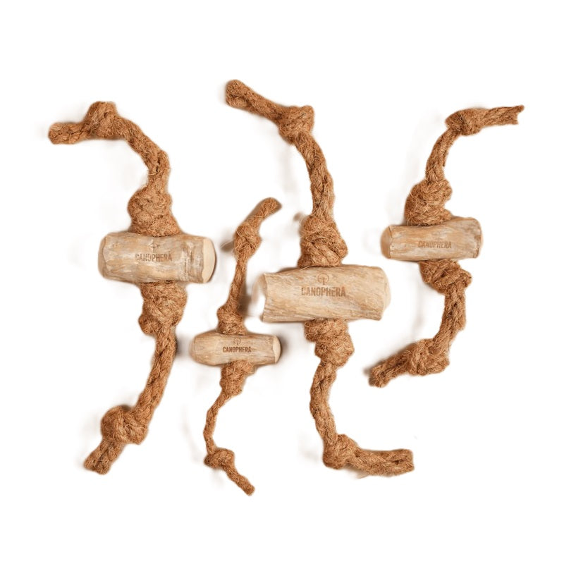 CANOPHERA DOG CHEW ALBERO DEL CAFFE' + CORDA DI COCCO TG. S