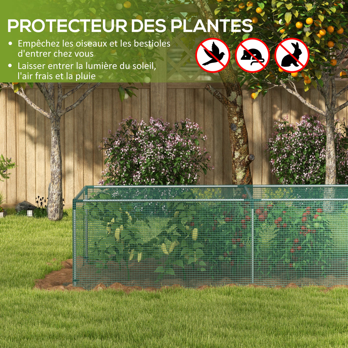 Serre de jardin serre à tomates filet protection porte zippée enroulable HDPE, dim. 125L x 248l x 62,5H cm-3
