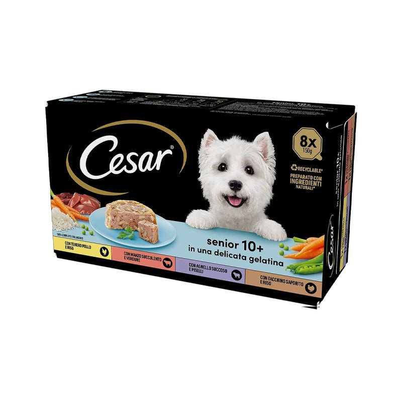 CESAR SENIOR 10+ IN GELATINA MULTIPACK 8 x 150 GR.