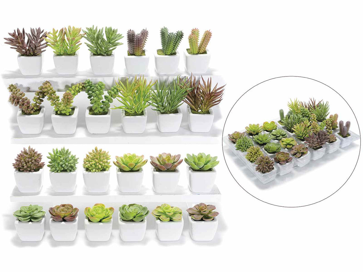 PIANTA GRASSA ARTIFICIALE IN VASETTO DI CERAMICA