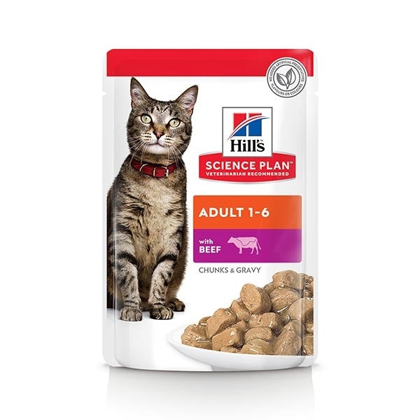 HILL'S SCIENCE PLAN FELINEADULT MANZO 85 GR.