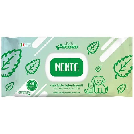 RECORD SALVIETTE DETERGENTI MAXI MENTA 40 PZ.
