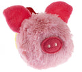 GIMCAT COCO PIG