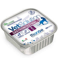 MONGE VETSOLUTION CAT GASTROINTESTINAL 100 GR.