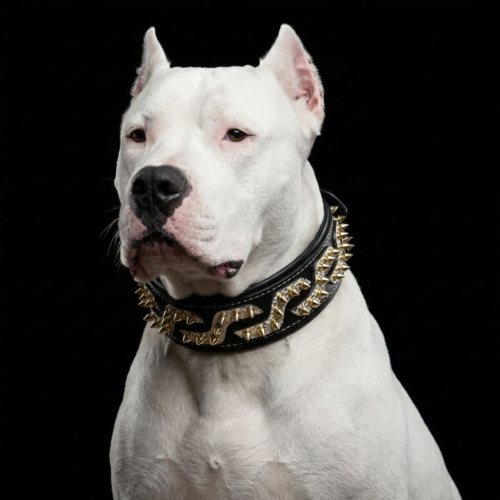 The ''Platinum'' collar-3