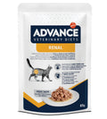 AFFINITY ADVANCE VET DIETS CAT RENAL 85 GR.