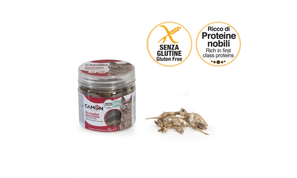 CAMON ACCIUGHE ESSICCATE 30 GR.