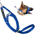 CANNY COLLAR CAVEZZA ADDESTRAMENTO TG.5 (43-48 CM.) BLU