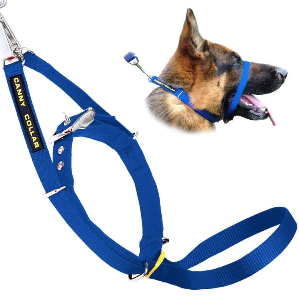 CANNY COLLAR CAVEZZA ADDESTRAMENTO TG.5 (43-48 CM.) BLU