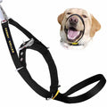 CANNY COLLAR CAVEZZA ADDESTRAMENTO TG.7 (53-58 CM.) NERA