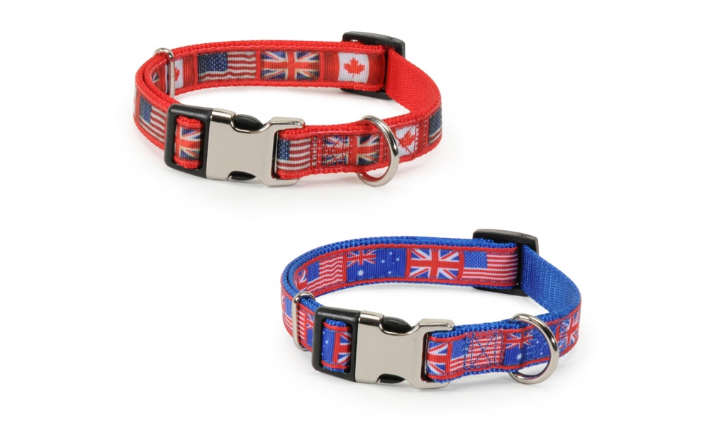 CAMON COLLARE IN NYLON MOD. FLAGS 25 MM. BLU