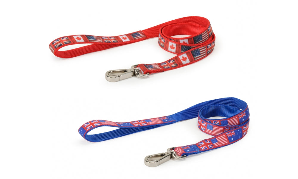 CAMON GUINZAGLIO IN NYLON MOD. FLAGS 15 x 1200 MM. BLU