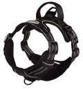 CAMON PETTORINA COMFORT PLUS REFLEX TG. M (45-60 CM. / 56-68 CM. CM.) NERA