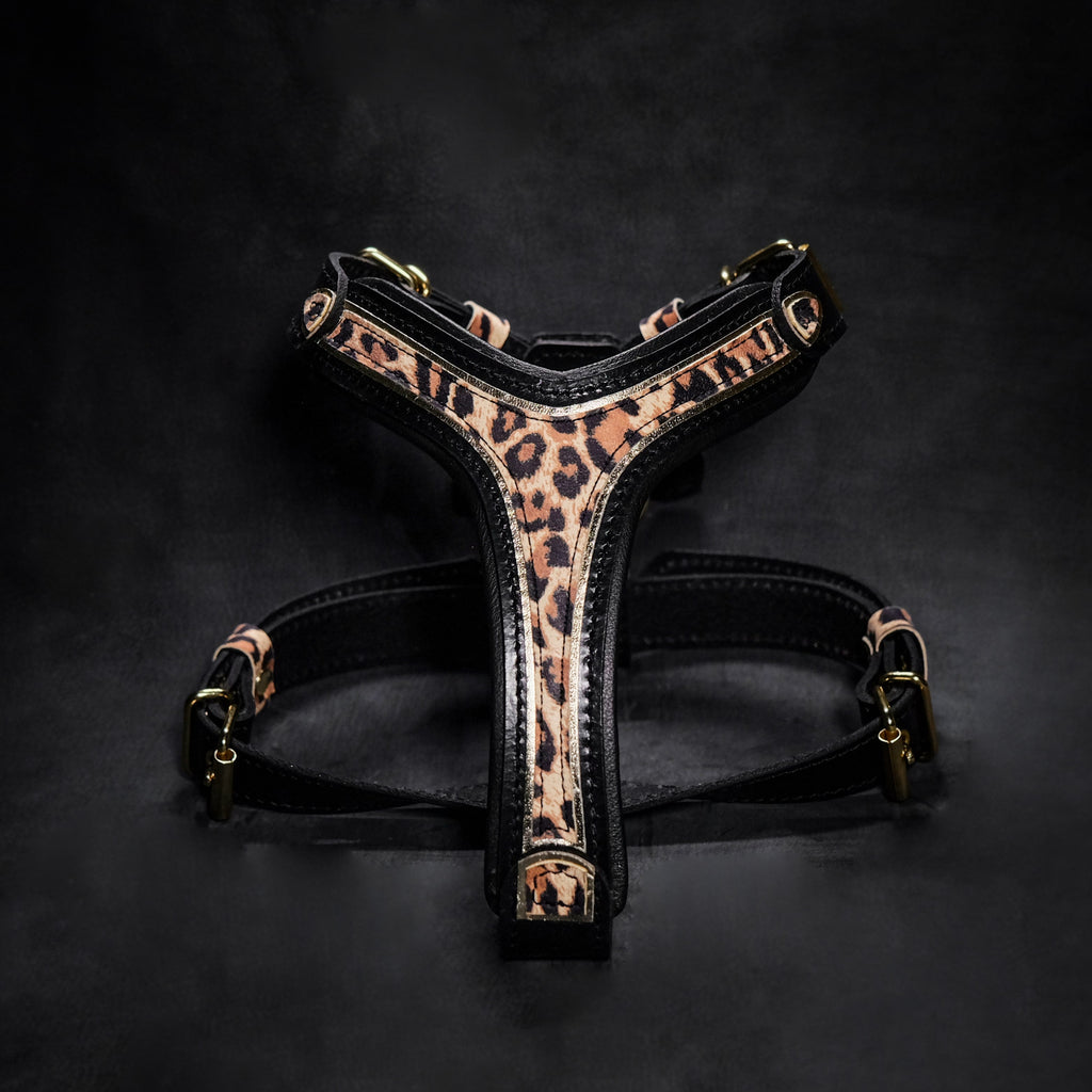 The Leopard Harness Small to Medium Size-0