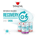 DISUGUAL DIET DOG RECOVERY AGNELLO 400 GR.