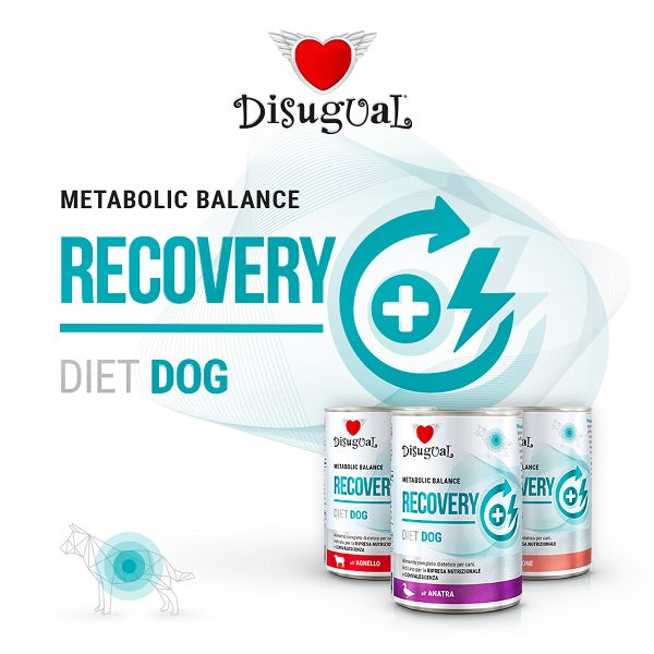 DISUGUAL DIET DOG RECOVERY AGNELLO 400 GR.