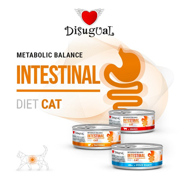 DISUGUAL DIET CAT INTESTINAL MANZO 85 GR.