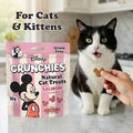 DISNEY CAT CRUNCHIES GUSTO SALMONE 80G
