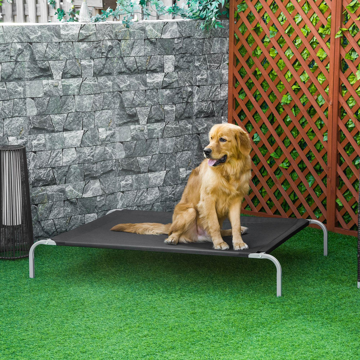 Lit pour chien chat XXL grand confort sur pieds lit de camp 130L x 90l x 20H cm textilène micro-perforé noir-1