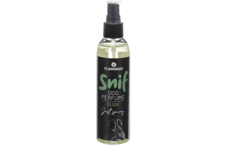 PROFUMO DUSK - 120 ML