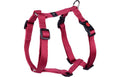 Cane Pettorina H-forma Ziggi Rosso ciliega M 45-65cm 20mm