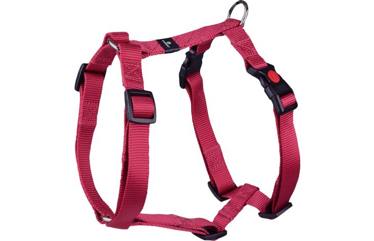 Cane Pettorina H-forma Ziggi Rosso ciliega M 45-65cm 20mm