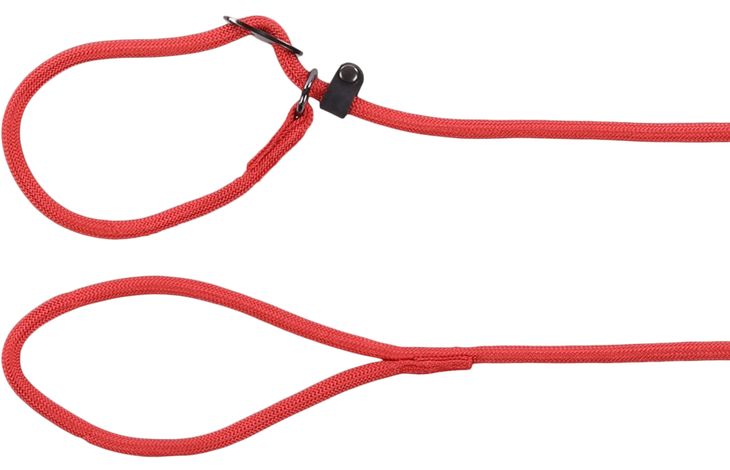Cane Guinzaglio anti-tiro Aiden Rosso 1,3m 8mm