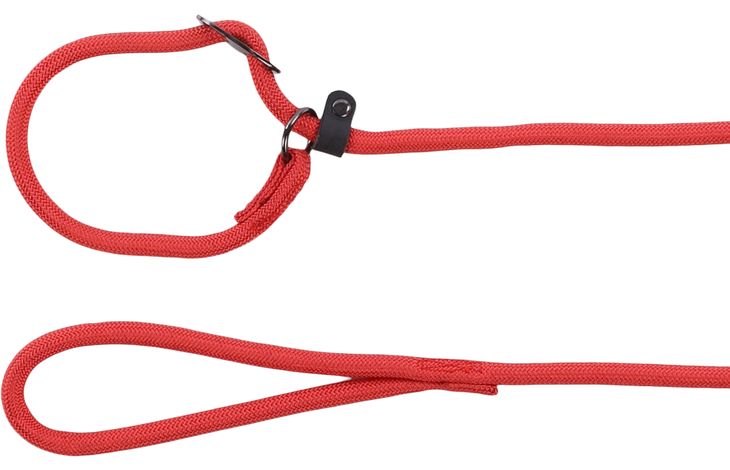 Cane Guinzaglio anti-tiro Aiden Rosso 1,7m 10mm