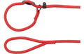 Cane Guinzaglio anti-tiro Aiden Rosso 1,7m 12mm
