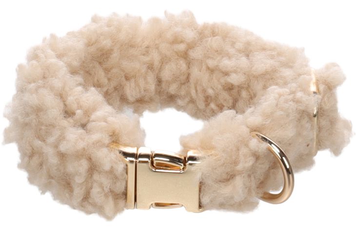 Cane Collare Pookie Beige XS 23-35cm 15mm