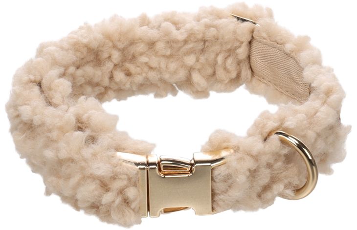 Cane Collare Pookie Beige S 31-50cm 20mm
