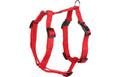 Cane Pettorina H-forma Ziggi Rosso S 35-50cm 15mm