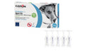 CAMON SPOT ON CANE CON OLIO DI NEEM 0-10 KG. 5 FIALE DA 3 ML.