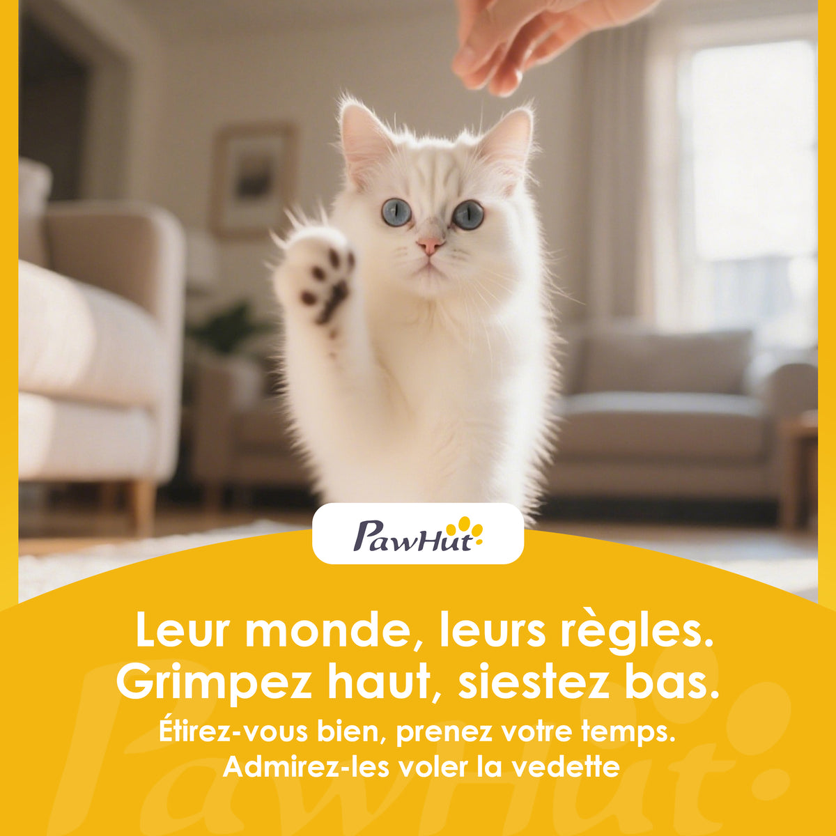 Lit pour chat réversible, lit pour chats d'intérieur et petits chiens, lit rond avec rebord de soutien, gris clair-8
